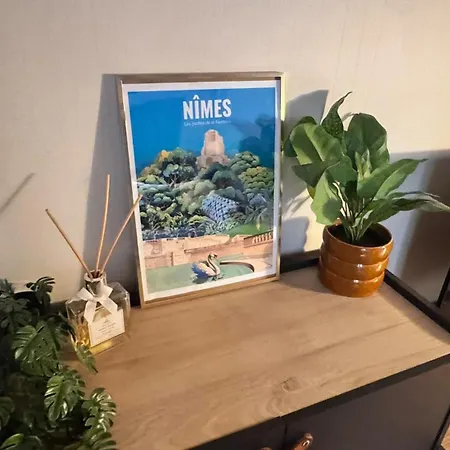 Apartment Monumental - Arenes - Maison Carree - Jardins A Pied